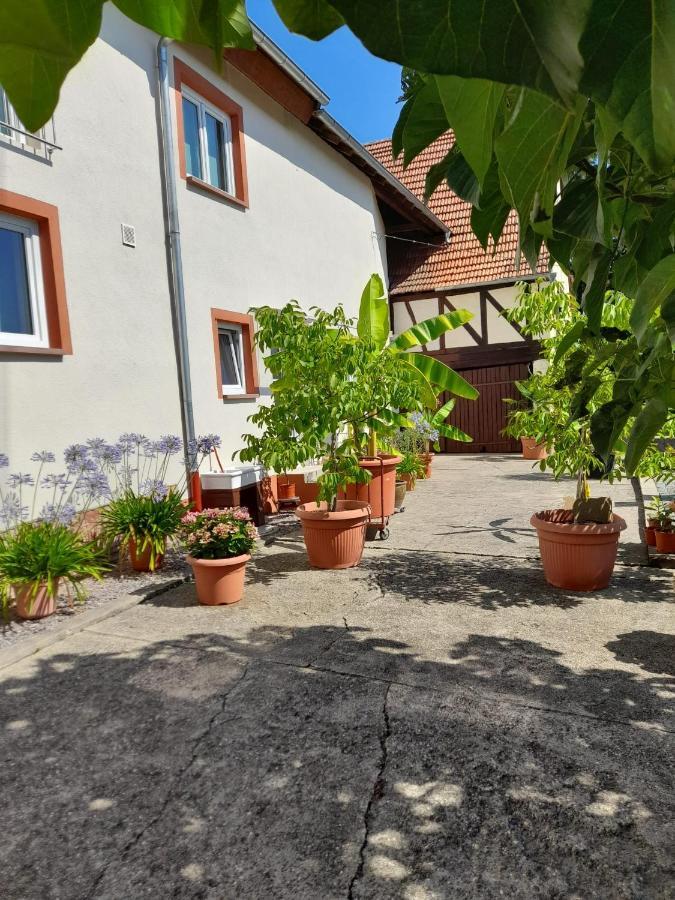 Ferienwohnung "Zum Alten Kuhstall" Oberhausen  Экстерьер фото