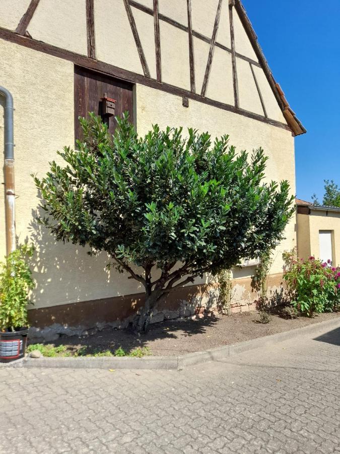 Ferienwohnung "Zum Alten Kuhstall" Oberhausen  Экстерьер фото